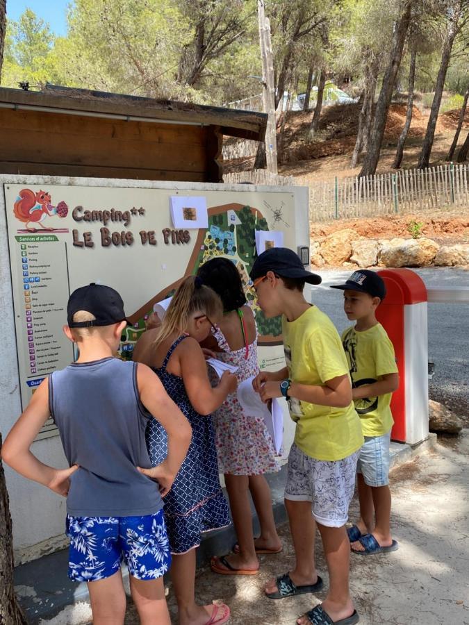 Camping Le Bois De Pins แซลส์เลอชาโต ภายนอก รูปภาพ
