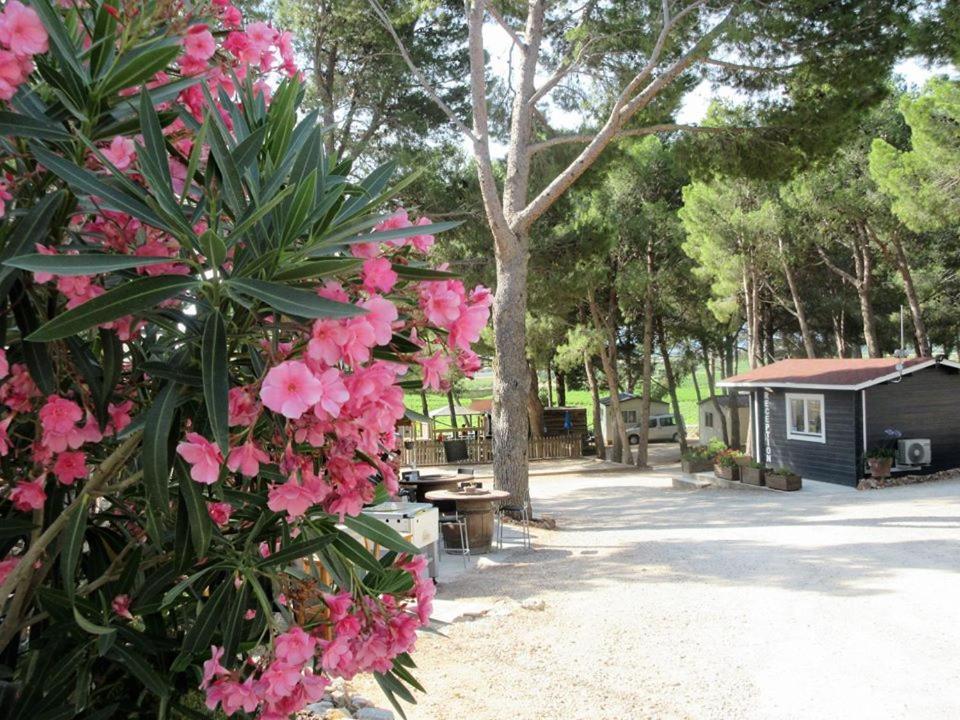 Camping Le Bois De Pins แซลส์เลอชาโต ภายนอก รูปภาพ