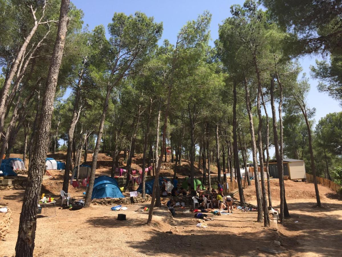 Camping Le Bois De Pins แซลส์เลอชาโต ภายนอก รูปภาพ