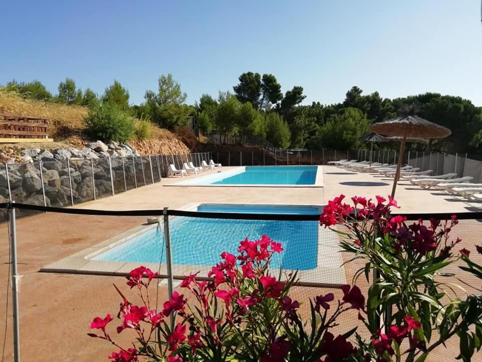 Camping Le Bois De Pins แซลส์เลอชาโต ภายนอก รูปภาพ