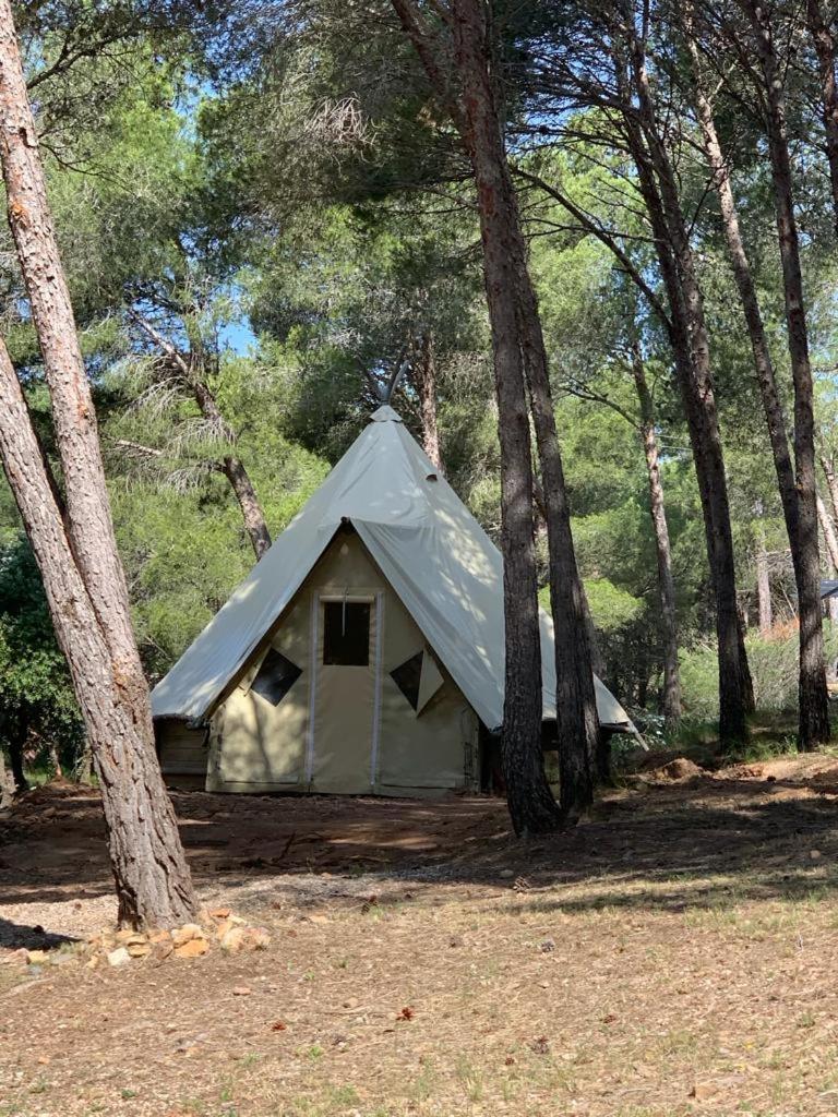 Camping Le Bois De Pins แซลส์เลอชาโต ภายนอก รูปภาพ