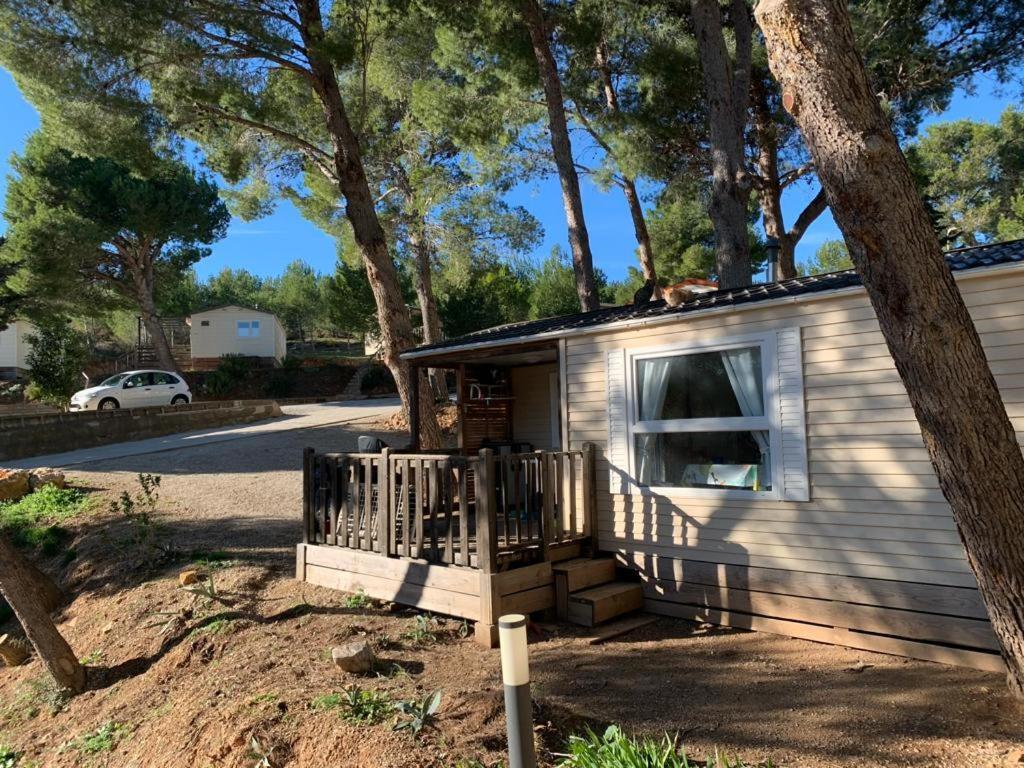 Camping Le Bois De Pins แซลส์เลอชาโต ภายนอก รูปภาพ